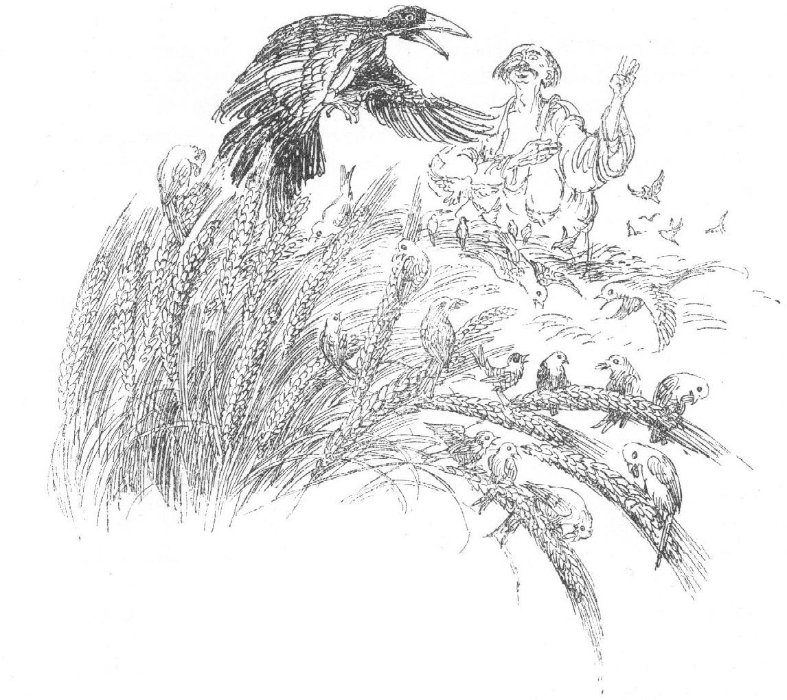 Der Rabe und der Bauer